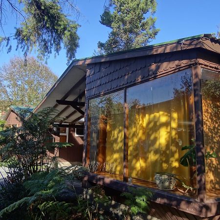 Silvestre Cabanas Puerto Varas Eksteriør bilde